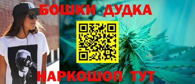 спиды Обь