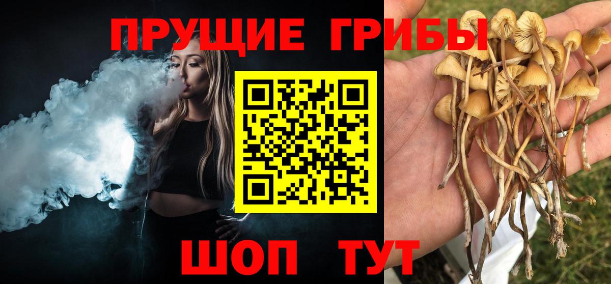 Псилоцибиновые грибы Magic Shrooms Сафоново
